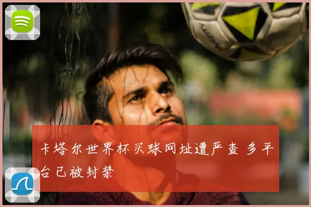 卡塔尔世界杯买球网址遭严查 多平台已被封禁