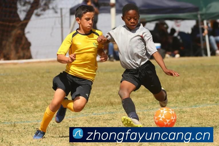 ayx官网ios官方网站服务体系